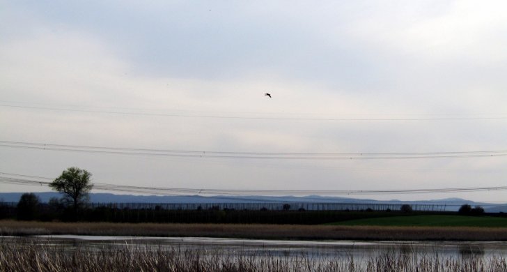 IMG_7681.JPG